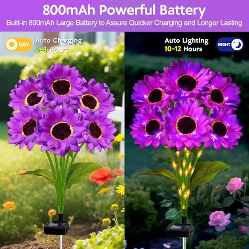 Solar Sunflower Lights Outdoor Garden Decor, 4 Pack Solar Purple Flowers Lights with 24 Sunflowers, Waterproof Fall Decor Stake Decorative Light Auto ON/Off for Garden Yard Patio, Gift for Women - Image 3