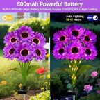 Solar Sunflower Lights Outdoor Garden Decor, 4 Pack Solar Purple Flowers Lights with 24 Sunflowers, Waterproof Fall Decor Stake Decorative Light Auto ON/Off for Garden Yard Patio, Gift for Women - Image 3