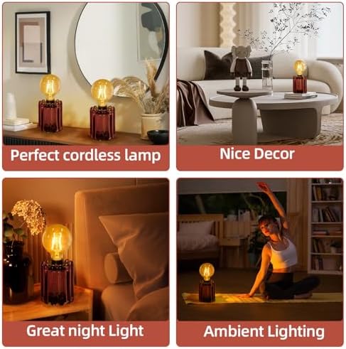 Set of 2 Battery Operated Table Lamp, Battery Powered Cordless Lamp with Timer, Glass Bulb Shape Decorative Lights for Living Room Bedroom Weddings Parties Patio Events Indoors Outdoors（Rust） - Image 2