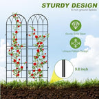 DoCred 4 Pack Garden Trellis for Climbing Plants, 71 Inch Metal Trellis - Image 4