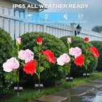 TANSOREN 4 Pack Solar Garden Lights Outdoor, 8 Lighting Modes Cool White LED Powered Waterproof Rose Flowers Landscape Light for Outside Yard, Patio, Pathway Decorative, Décor, Gifts - Image 2