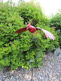 Whimsical Kinetic Energy Metal Red Cardinal Yard Stake Wind Spinner Whirly-Gig Windmill Garden Art Bird by Unknown
