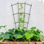 Thealyn 32" Metal Plant Trellis, Climbing Plant Support, 4 Pack Black - Image 4