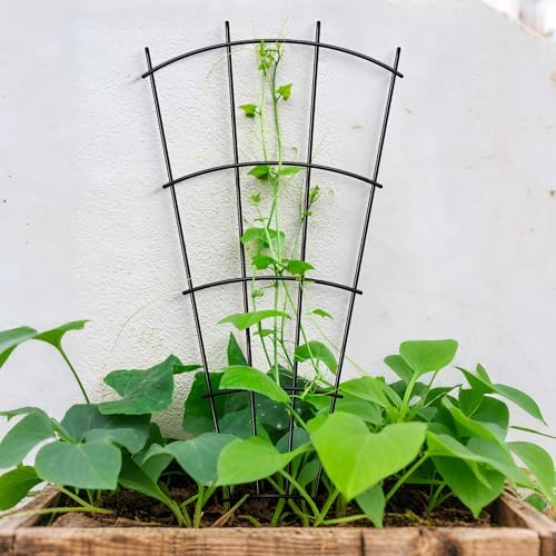 Thealyn 32" Metal Plant Trellis, Climbing Plant Support, 4 Pack Black - Image 4
