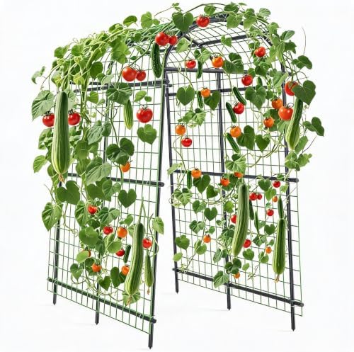 Metal Garden Arch Trellis, 7.6Ft Black for Raised Beds, Plant Support for Cucumbers & Climbing Vegetables with 9 Horizontal Pipe by Garvee