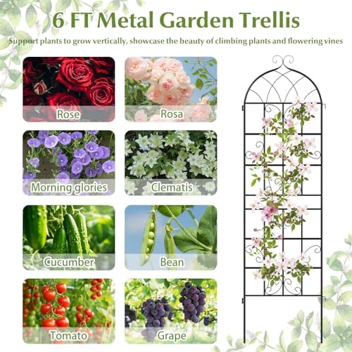 Giantex 2 Packs 71"x20" Metal Garden Trellis for Outdoor Climbing Plants, Heavy-Duty Plant Support for Vine Rose Vegetable Flower, Rustproof Black Metal Coating Patio Trellis Arch Decorative Fence - Image 6