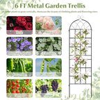 Giantex 2 Packs 71"x20" Metal Garden Trellis for Outdoor Climbing Plants, Heavy-Duty Plant Support for Vine Rose Vegetable Flower, Rustproof Black Metal Coating Patio Trellis Arch Decorative Fence - Image 6