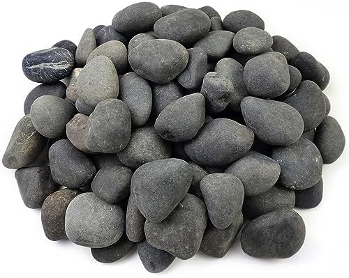 FANTIAN 40 lbs Black River Rocks for Landscaping, 2-3 Inch Pebbles by FANTIAN-GardeningMakesLifeBetter