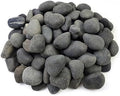 FANTIAN 10 lbs Black River Rocks, 2-3 Inch Stones for Plants Indoor by FANTIAN-GardeningMakesLifeBetter