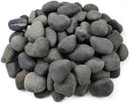 FANTIAN 10 lbs Black River Rocks, 2-3 Inch Stones for Plants Indoor by FANTIAN-GardeningMakesLifeBetter