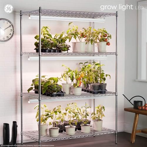 GE Grow Lights for Indoor Plants, BR30 Indoor Floodlight, 4 Pack - Image 6
