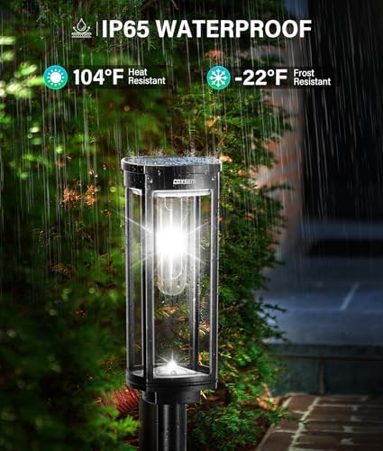 COXSENI Solar Pathway Lights Outdoor Waterproof Cool White, 6 Pack - Image 5