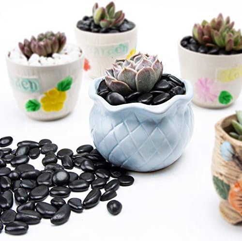 10lb Black Small Decorative Pebbles - Gravel River Rock,Natural Polished Decorative Stones 3/8" Gravel Size,Pebbles Gravel for Bamboo Plants,Succulent,Home Decor,Landscaping,Vase Fillers and More. - Image 3