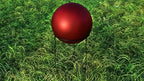 Lulu Decor, Matt Red Stainless Steel Gazing Mirror Ball Size 12 with Stand - Image 3