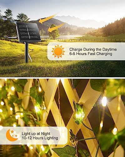 Solar String Lights, 2 Packs Total 66Ft 200 LED Fairy Lights with Ivy - Image 3