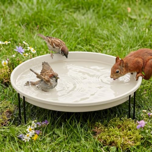 14.37'' Ground Bird Bath for Outside Large Bird Bath, Milky White by Unknown