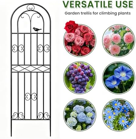 2 Pack 70.8"x19.7" Metal Gardon Trellis for Climbing Plants Outdoor, - Image 6