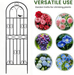2 Pack 70.8"x19.7" Metal Gardon Trellis for Climbing Plants Outdoor, - Image 6
