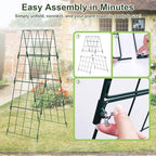 iGreely Heavy Duty Adjustable A-Frame Cucumber Trellis for Climbing Plants,48"x16" Foldable Frame Rust-Proof Metal Trellis with Dense Grid,Perfect for Raised Beds,Garden,Tomatoes (2 Pack) - Image 2