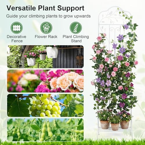 Giantex Metal Garden Trellis for Climbing Plants, 75" x 20" Outdoor Rose Trellis w/Foldable Bottom Shelf, Freestanding Plant Support for Vines, Flowers, Vegetables & Fruits, Patio Lawn Garden, White - Image 2