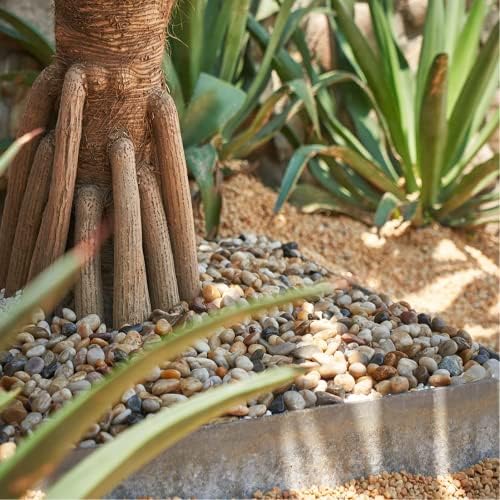 GASPRO 15-lb Natural River Rocks for Landscaping, Decorative Rocks for Potted Plants and Aquariums, Polished River Stones for Indoor & Outdoor Decor, 1 to 1 3/4 Inches - Image 3