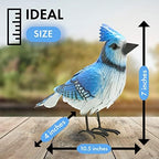 GUTE Blue Jay Metal Bird, Garden Yard Sculpture Art - Large Realistic Standing Blue Bird - Outdoor Fall, Winter, Spring, Summer Decoration - Handmade Bluejay Decor - Perfect and Sympathy Gifts - Image 3