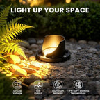 MEIHUA Low Voltage Landscape Lighting LED Well Lights, 12W In-Ground Lights - Image 3