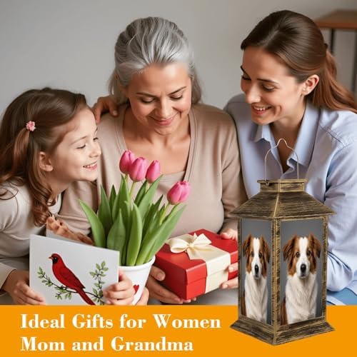 Solar Lantern Outdoor Waterproof Purebred Australian Shepherd Dog Dog Portrait Garden Decor LED Hanging Solar Lights Tabletop Lamp Gifts for Women Mom Outside Yard Patio Porch - Image 4