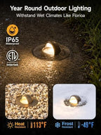 Gardenreet Mini Brass Low Voltage Well Light, 12V Beacon-Top, IP65, 6Pk - Image 6
