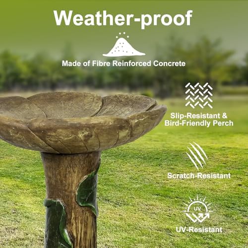 SunJet 24” High x 19” Diameter Outdoor Bird Bath with Tree Stump Leaf Design - Fibre Reinforced Concrete Birdbaths for Garden, Patio, Yard, Lawn Décor - Image 3