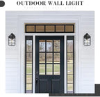 Emliviar 1-Light Outdoor Wall Sconce, Metal Cage Industrial Exterior Wall Light Fixture, Clear Tempered Glass with Black Finish, GE255BL BK - Image 2