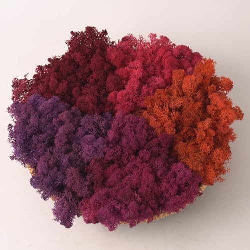 Preserved Reindeer Moss Natural Green DIY Kit Gardenning Art Wall Decor Florist Decor Easter Table Decor Wedding by %E7%8E%B0%E5%9C%A8%E8%B4%AD%E4%B9%B0