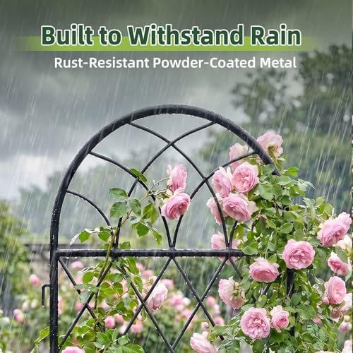 2 Pack 70.8" X 19.7" Metal Garden Trellis for Climbing Plants Outdoor - Rustproof Heavy Duty Arched Trellis - Decorative Rose Plant Support Trellis for Roses,Vines,Vegetables,Flowers,Black - Image 6