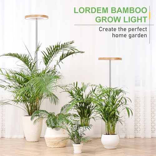LORDEM Bamboo Grow Light for Indoor Plants, 2 Pack - Image 6