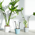 15.5" 10 Pack Large Iron Monstera Trellis - Heavy-Duty Plant Supports - Image 3