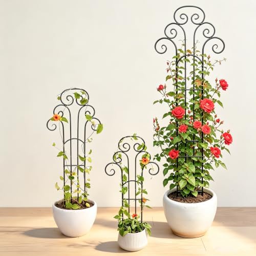 Metal Indoor Plant Trellis for Climbing Plants, 47" Rose & Clematis Support - Image 4