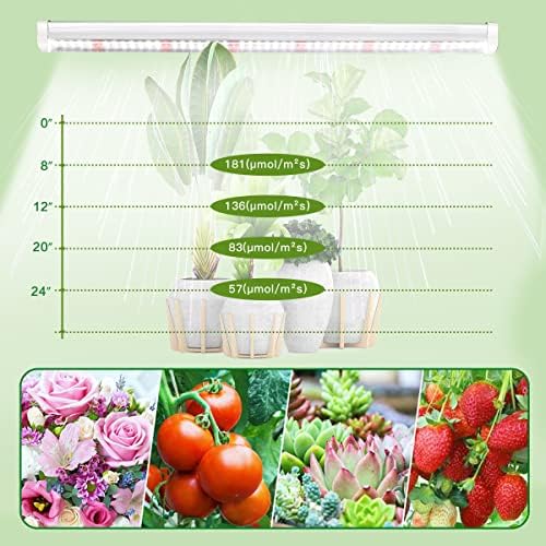 GYTF T5 LED Grow Lights, 306-Bulbs 5000K White Full Spectrum Plant Growing Lamp Bars for Indoor Plants Seedling Hydroponics, Daisy-Chain Design (6 x 10W, 300W Equivalent) - Image 4