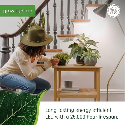 GE Grow Lights for Indoor Plants, A19 LED Light Bulbs for Seeds and Greens with Balanced Light Spectrum, White Indoor Plant Light, 25,000 Hours Lifespan, 16 PPF, 4 Pack (Packaging May Vary) - Image 4