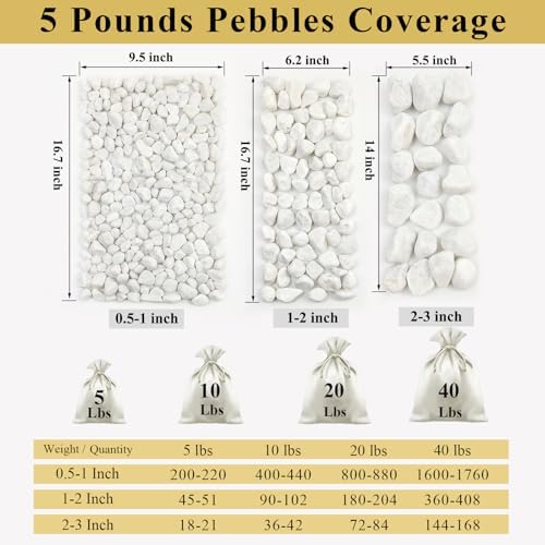 FANTIAN 10 lbs White River Rocks for Garden, 0.5-1 Inch Pebbles for Indoor Plants, Decorative Stones for Landscaping, Succulent, Vases, Aquariums and Zen Garden - Image 3