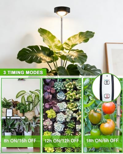 yadoker Plant Grow Light, LED Growing Light Full Spectrum for Indoor Plants,Black Magnifying Glass Plant Lights,Height Adjustable, Automatic Timer, 5V Low Safe Voltage,Idea for Large - Image 2