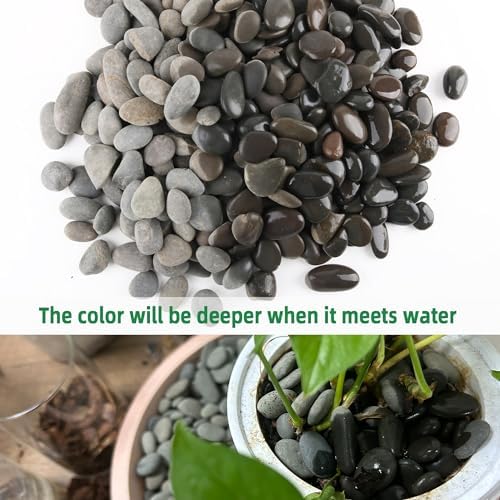 45LB River Rocks,Mexican Beach Pebbles for Plants,Potting,Garden Landscape Stone Paving Stone Grey 1Inch… - Image 3