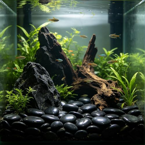 10 lbs Black River Rocks - Large Polished Black Pebbles for Plants & Garden Decorative Stones，1-2" Polished Pebbles for Landscaping, Fish Tanks, Flower Pots, Water Fountains - Image 6