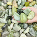 FANTIAN 10 lbs Polished River Rocks, 2-3 Inch Large Pebbles for Plants, Decorative Stones for Succulent, Landscaping, Vases, Crafting and Garden by FANTIAN-GardeningMakesLifeBetter