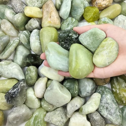 FANTIAN 10 lbs Polished River Rocks, 2-3 Inch Large Pebbles for Plants, Decorative Stones for Succulent, Landscaping, Vases, Crafting and Garden by FANTIAN-GardeningMakesLifeBetter