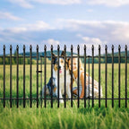 Thealyn 32" H x 24" W Metal Garden Fence with Gate, Animal Barrier, 10 Ft - Image 3