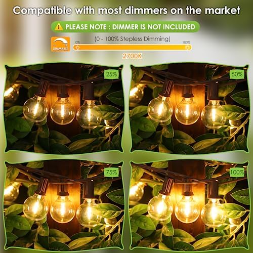 Mlambert 100Ft LED Outdoor String Lights, Dimmable G40 Globe Patio Lights with 50+3 Waterproof Shatterproof Bulbs for Backyard Porch-Brown Cord 1 Pack - Image 2