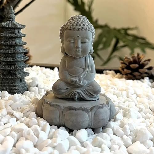 FANTIAN 10 lbs White River Rocks for Garden, 0.5-1 Inch Pebbles for Indoor Plants, Decorative Stones for Landscaping, Succulent, Vases, Aquariums and Zen Garden - Image 5