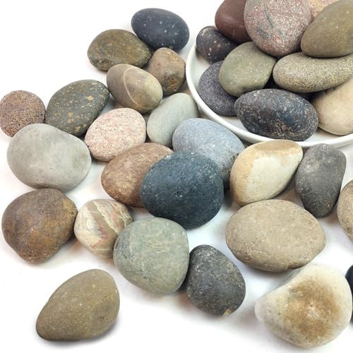 10lbs River Rocks for Landscaping, 1-2 Inch Mixed Colors Pebbles by SHIZWU