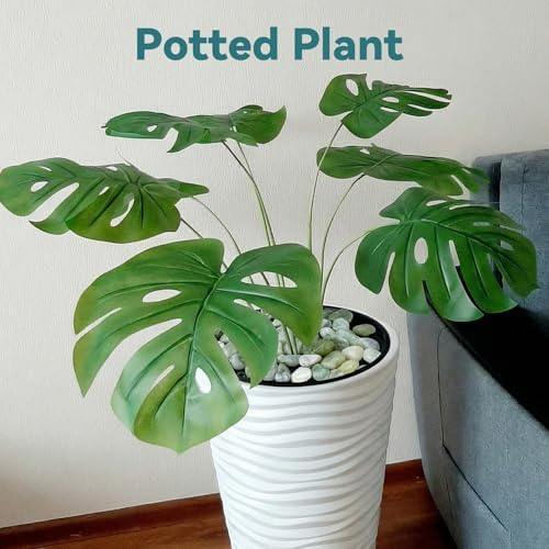 30lbs 1-2 Inch Jade Pebbles for Indoor Plants - Image 3