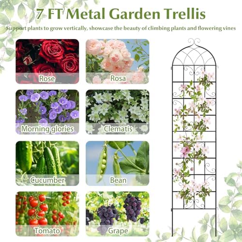 Giantex 2 Packs 86"x20" Metal Garden Trellis for Outdoor Climbing Plants, Heavy-Duty Plant Support for Vine Rose Vegetable Flower, Rustproof Black Metal Coating Patio Trellis Arch Decorative Fence - Image 7